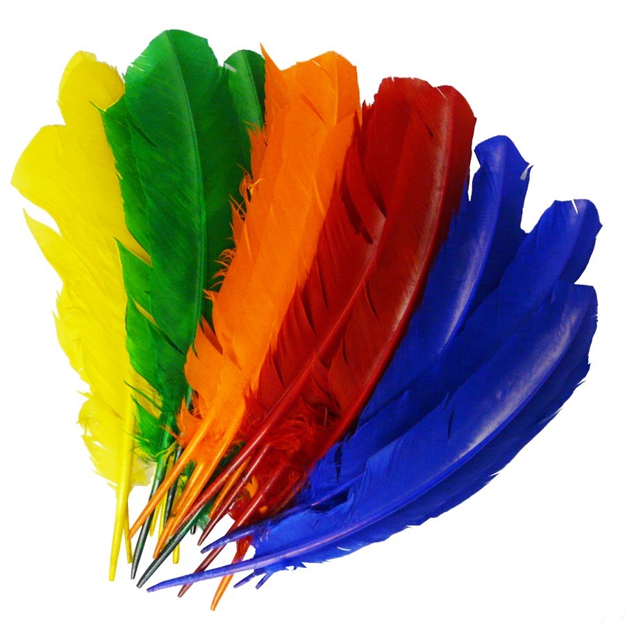 Indianerfedern, groß 25-30cm, 10 Stück